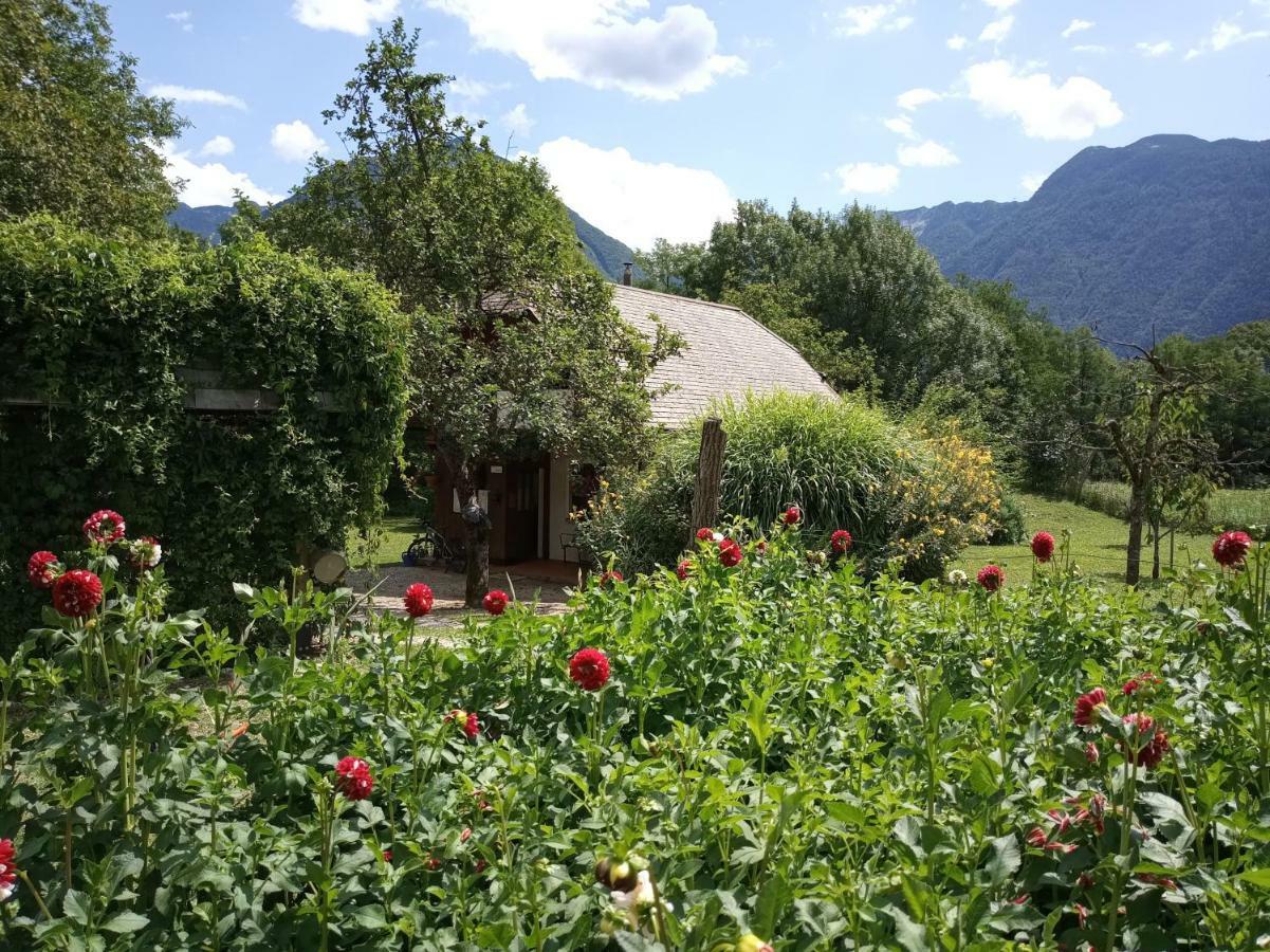 Holiday House Zeleni Gaj Bovec Exterior photo